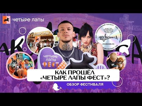 Видео: ИТОГИ НАШУМЕВШЕГО “ЧЕТЫРЕ ЛАПЫ ФЕСТа”