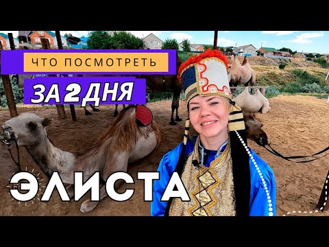 Видео: Элиста: верблюды, Будда и степь