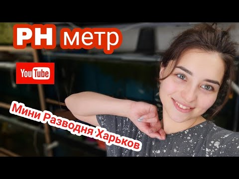 Видео: ПОДГОТОВКА ВОДЫ ДЛЯ СКАЛЯРИЙ