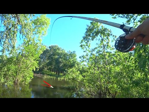 Видео: ДУМАЛ КРУПНЫЙ КАРАСЬ...НО ЭТО ПРИШЛИ ОНИ! Рыбалка на поплавок 2021