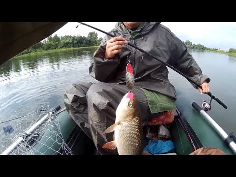 Видео: Сплав по реке Чулым,ловля щуки с лодки на спиннинг,язь в прилове