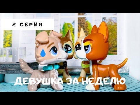 Видео: LPS НОВЫЙ Спор На Любовь (2 серия) "Девушка За Неделю? Легко!"