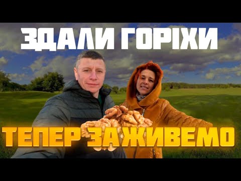 Видео: ЗДАЛИ ГОРІХИ ТЕПЕР ЗАЖИВЕМО ‼️ Наші враження про заробіток на горіхах метеликах. Скільки заробили?