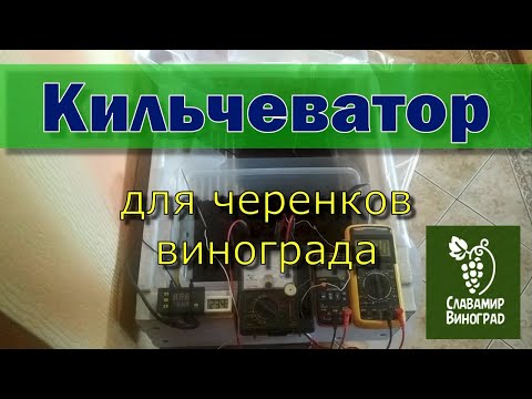 Видео: Кильчеватор для черенков винограда. Как сделать простой кильчеватор для укоренения черенков.