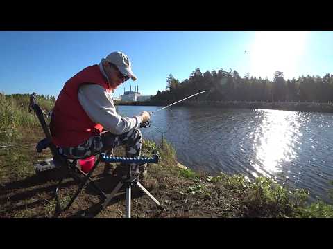 Видео: Отличная рыбалка на Белоярке. Лещ Плотва Карась. Осенняя рыбалка на фидер.