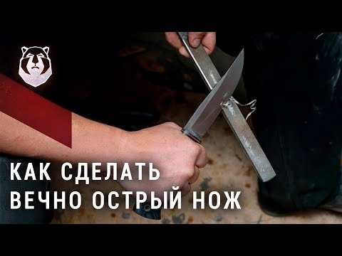 Видео: Вечно острый нож! Как сделать?