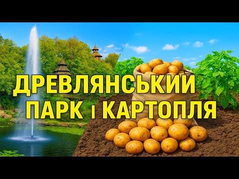 Видео: Велоекскурсія Древлянським парком і аграрно-картопляна монополія.