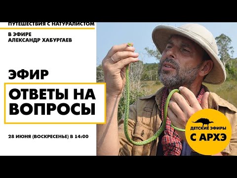 Видео: Детский эфир "Ответы на вопросы" в рамках рубрики "Путешествия с натуралистом"