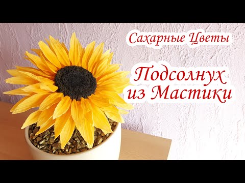 Видео: Шикарный и Пышный ПОДСОЛНУХ из МАСТИКИ | Подсолнух из Мастики | Подсолнух | David Malaniia