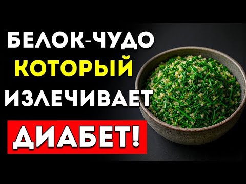Видео: 3 Белка, Которые Снижают Сахар И Быстро Борются С Диабетом