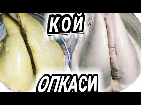 Видео: КОЙНИ #ОПКАСИДА ЖУДАХАМ #МАЗЗАЛИ ТАОМ