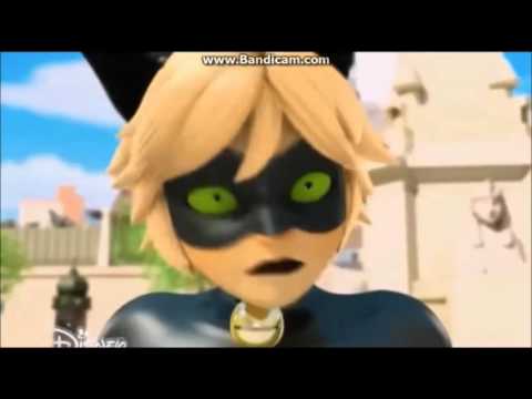 Видео: ЛЕДИ БАГ И СУПЕР-КОТ! (МИЛЫЕ МОМЕНТЫ)