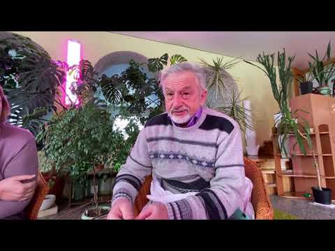 Видео: Зимняя прививка плодовых. Часть 1. Мастер - класс