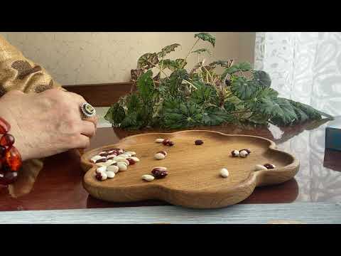 Видео: [ГАДАНИЕ НА БОБАХ] Что ждать от него