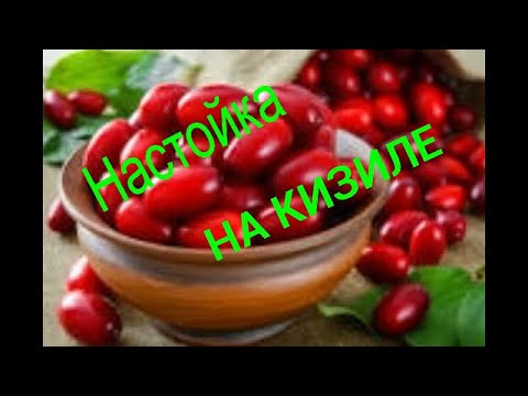 Видео: Настойка на кизиле