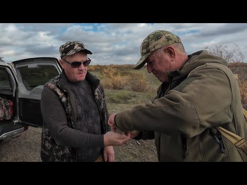 Видео: Охота на зайца. Открытие 2025. 