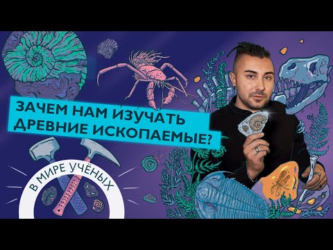 Видео: Работа палеонтолога в Калининграде, трилобиты и Музей Мирового океана | Эдуард Мычко | В мире ученых