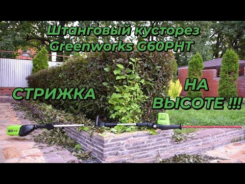 Видео: Аккумуляторный штанговый кусторез Greenworks G60PHT: обзор и стрижка изгороди