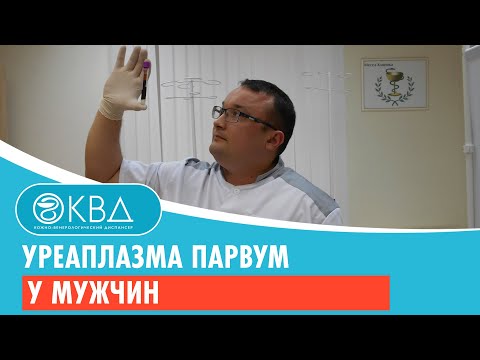 Видео: 💣 Уреаплазма парвум у мужчин. Клинический случай №186
