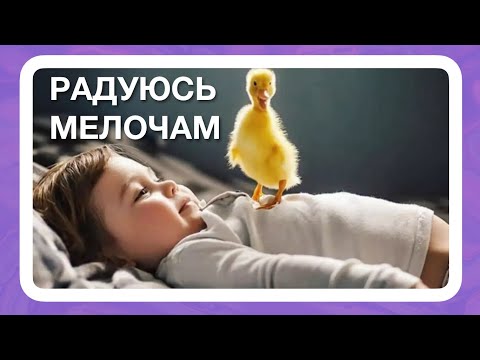 Видео: А я все так же радуюсь мелочам