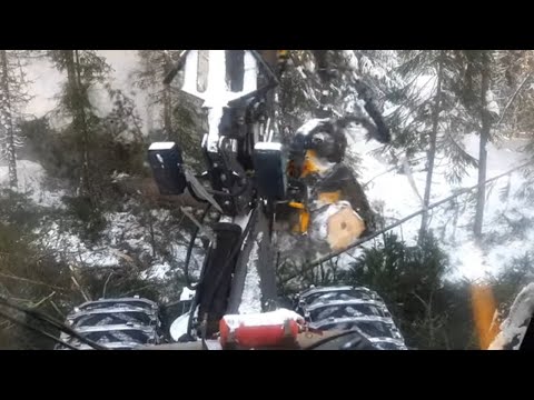 Видео: Заготовка леса вид из кабины оператора харвестера Ponsse ERGO