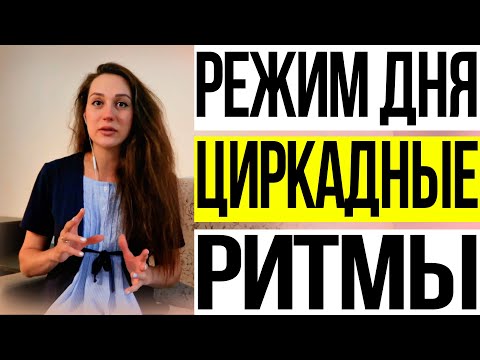 Видео: Циркадные ритмы. Как наладить?
