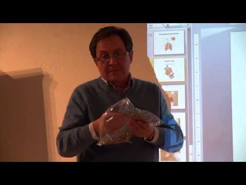 Видео: Яков Маршак Нети Крийя, теория и практика. Часть 3