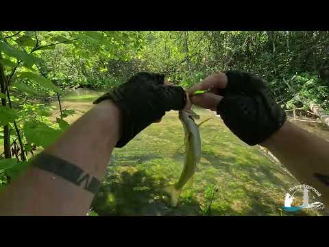 Видео: Ловлю форель на новые колебалки. Результат нравится