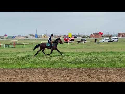Видео: Элистинский ипподром Республика Калмыкия , скачки в честь Праздника Великой Победы 9 мая 🐎