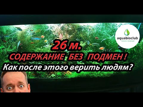 Видео: Обзор аквариума 26 м.  без подмен на 260 л. Вот верь после такого людям!