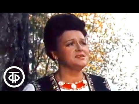 Видео: Людмила Зыкина "Растет в Волгограде березка" (1983)