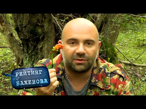 Видео: Неудержимые. Рейтинг Баженова. Дикарь 🌏 Моя Планета