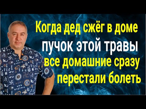 Видео: Чистка дома от порчи, ругани и болезней! Сожгите в доме пучок этой травы