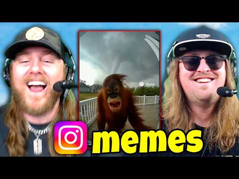 Видео: Мемы в Instagram нереальны…