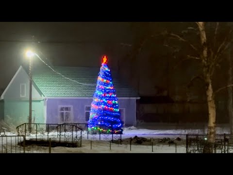 Видео: Пашат ДК 30.12.24 #Пошатовотат