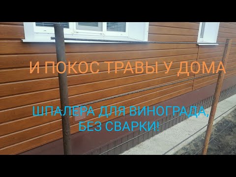 Видео: ШПАЛЕРА ДЛЯ ВИНОГРАДА, БЕЗ СВАРКИ. КОШУ ТРАВУ У ДОМА!