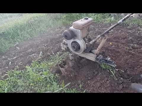 Видео: фрезерование земли мотоблоком урал