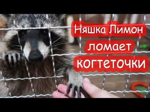 Видео: VLOG У меня самый лучший муж. Катя заболела