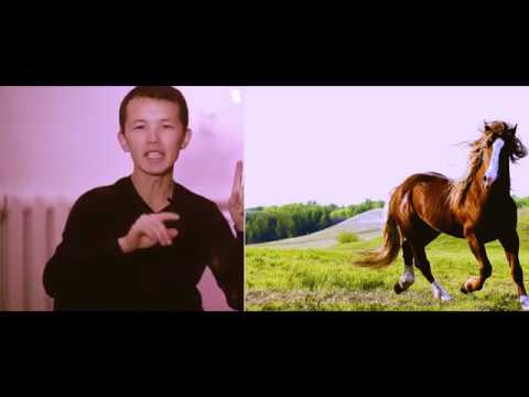 Видео: Кыргыз тили. Аналогиялар/окшоштуктар: учунчу сабак (ЖРТ/ОРТга даярдык)