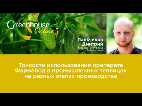 Видео: Фармайод в промышленных теплицах на разных этапах производства