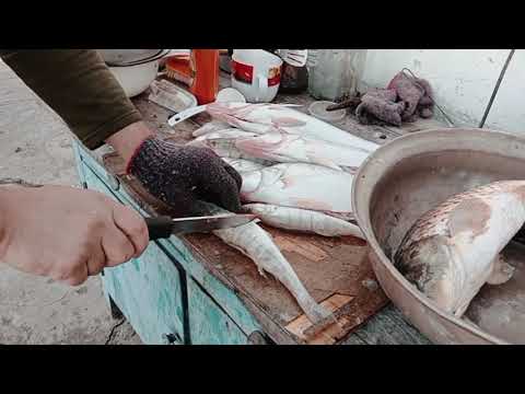 Видео: Финал тестов PMD V10 автор клинка Д.Фролов.