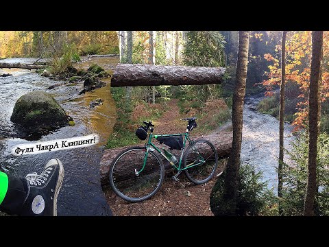 Видео: Лесной соло райд на Шоршне. Часть 1 -  Линдуловская роща