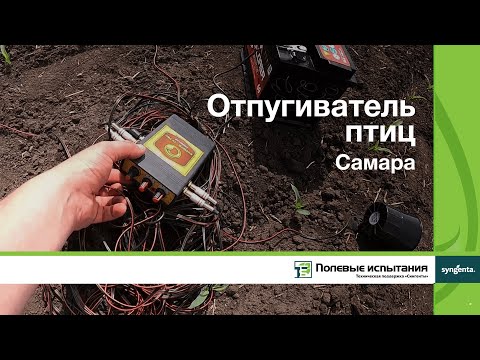 Видео: Отпугиватель птиц, Самара