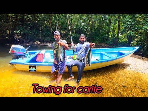 Видео: Буксировка для Карите на севере | поймать | очистить | приготовить #ТринидадИТобаго