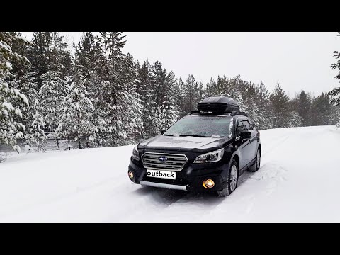 Видео: Subaru Outback BS! Звездная Болезнь Заразна!