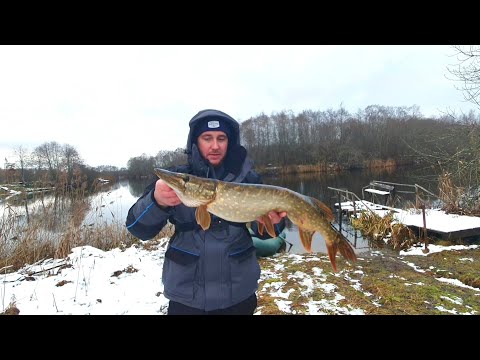 Видео: ПОЙМАЛ ХОЗЯЙКУ ОМУТА!!!ловля щуки поздней осенью.