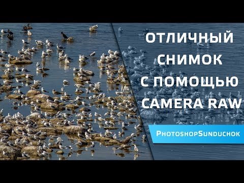 Видео: Отличный снимок с помощью Camera Raw