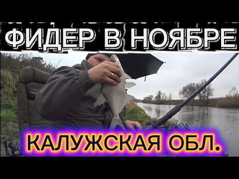 Видео: ФИДЕРНАЯ РЫБАЛКА В НОЯБРЕ