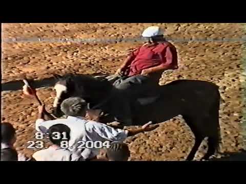 Видео: Икрам хажи көкпарысы 2004.    (Баймұрат ауылы)