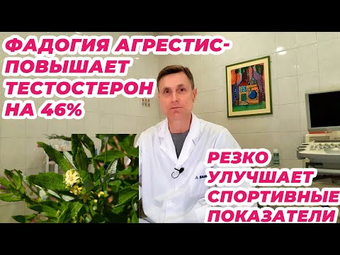 Видео: Фадогия агрестис повышает тестостерон на 46%. Резко улучшает спортивные показатели.